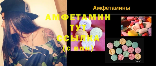 ALPHA PVP Богородицк