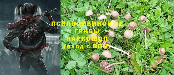 ALPHA PVP Богородицк