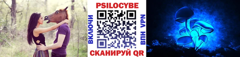купить наркотик  Ильский  Галлюциногенные грибы MAGIC MUSHROOMS 